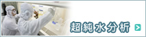 超純水分析