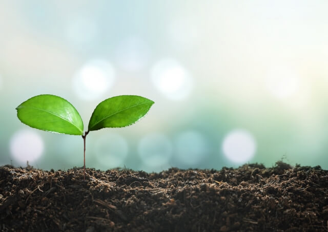 土壌分析で菌数を調べることでわかる農地の状態